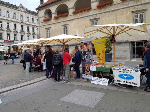 Stojnice različnih invalidskih društev na Trgu svobode