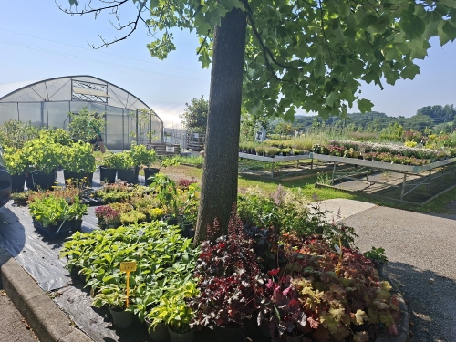 Del območja Paviljona Kaktej