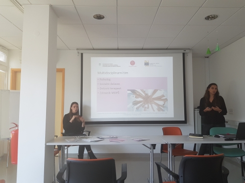 Predstavnica URI Soča predstavlja multidisciplinarni tim v projektu Prehod mladih