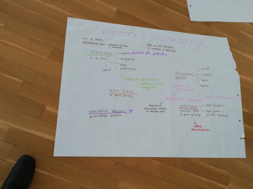 Velik list z opisom vloge mentorja in organizacije pri delu s prostovoljci