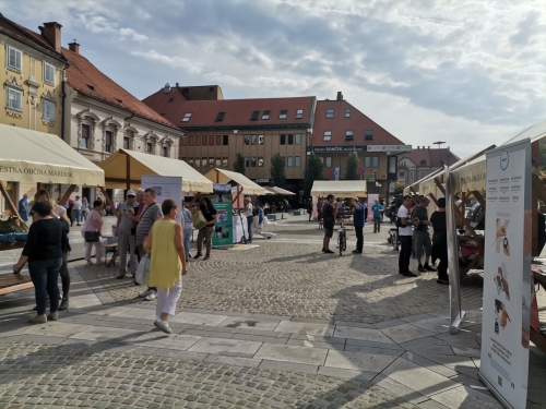 Stojnice različnih invalidskih društev na Glavnem trgu