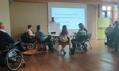 Razprava o pričakovanjih do NSIOS-a