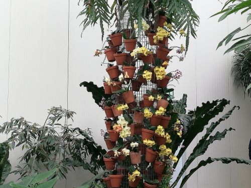 Orhideje različnih barv na stojalu