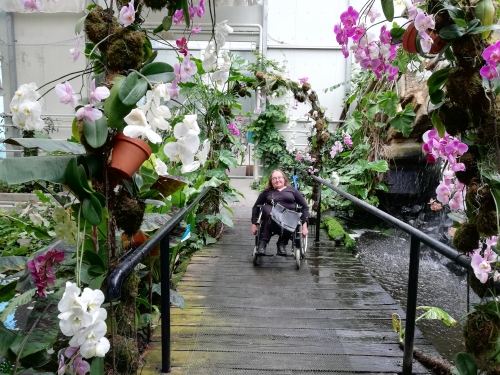 Udeleženka izleta med orhidejami