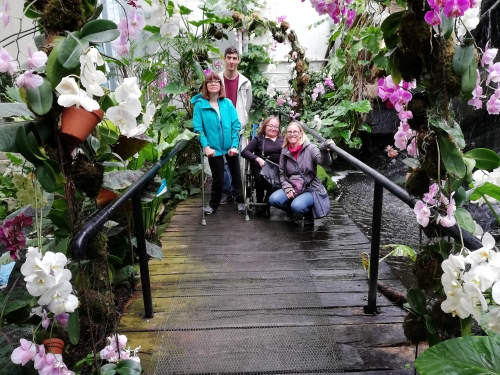 Skupinska med orhidejami