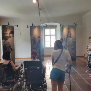 Ogled razstave o Almi Karlin