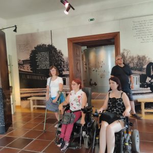 Udeleženke pozorno poskušajo o Almi